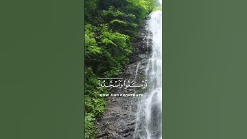 🌿القرآن الكريم🌿راحه نفسيه 🌿عبدالرحمن مسعد🌿أرح سمعك 🌿