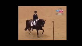 Such An Amazing Horse, Ruined In The Blink Of An Eye.