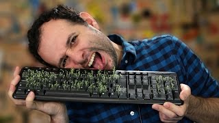 Pegadinha Da Horta No Teclado