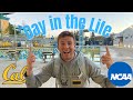 Day in the life of a d1 athlete  uc berkeley mens swimmer