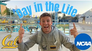 Day in the Life of a D1 Athlete | UC Berkeley Men’s Swimmer