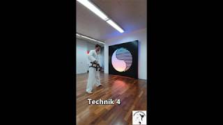WinTaekwondo Online Training für Zuhause II