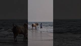 Угадаешь? Вот Такая Зима На ....?