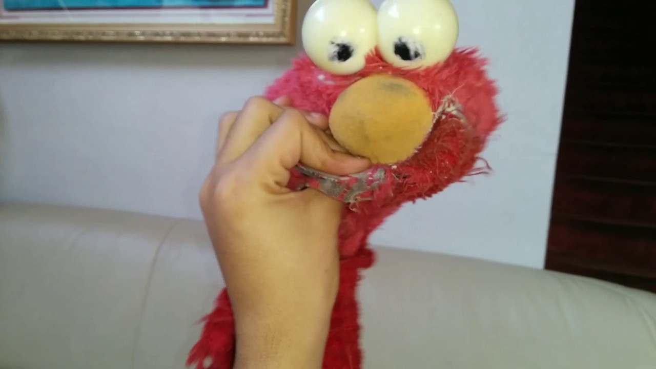 Elmo Want's To Know More About Familie's - YouTube