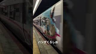 289系パンダくろしお団体臨時列車