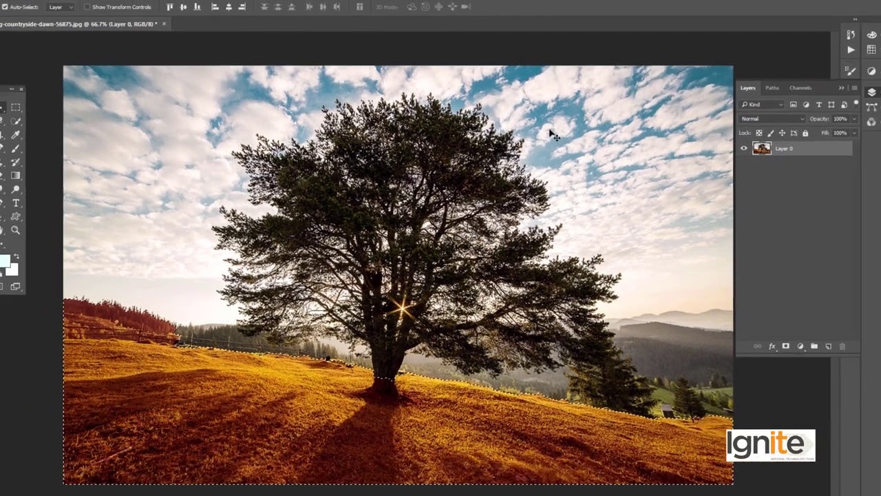 104 104 Graphic Design    Software Adobe Photoshop Adjustment Panel   Color Balance, HueSaturation