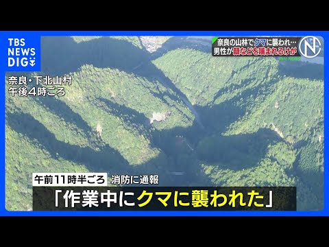 "Attacked by a bear while working": 60-year-old man bitten on face and arms, hospitalized with bl...