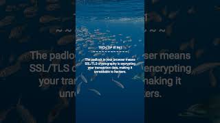 The Lock Icon's Secret | 2026-01-08 | #Shorts #productivityhacks #programmingtips #dotKey