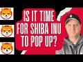 Urgent  shiba inu coin versus dogecoin versus bonk  best crypto to buy now