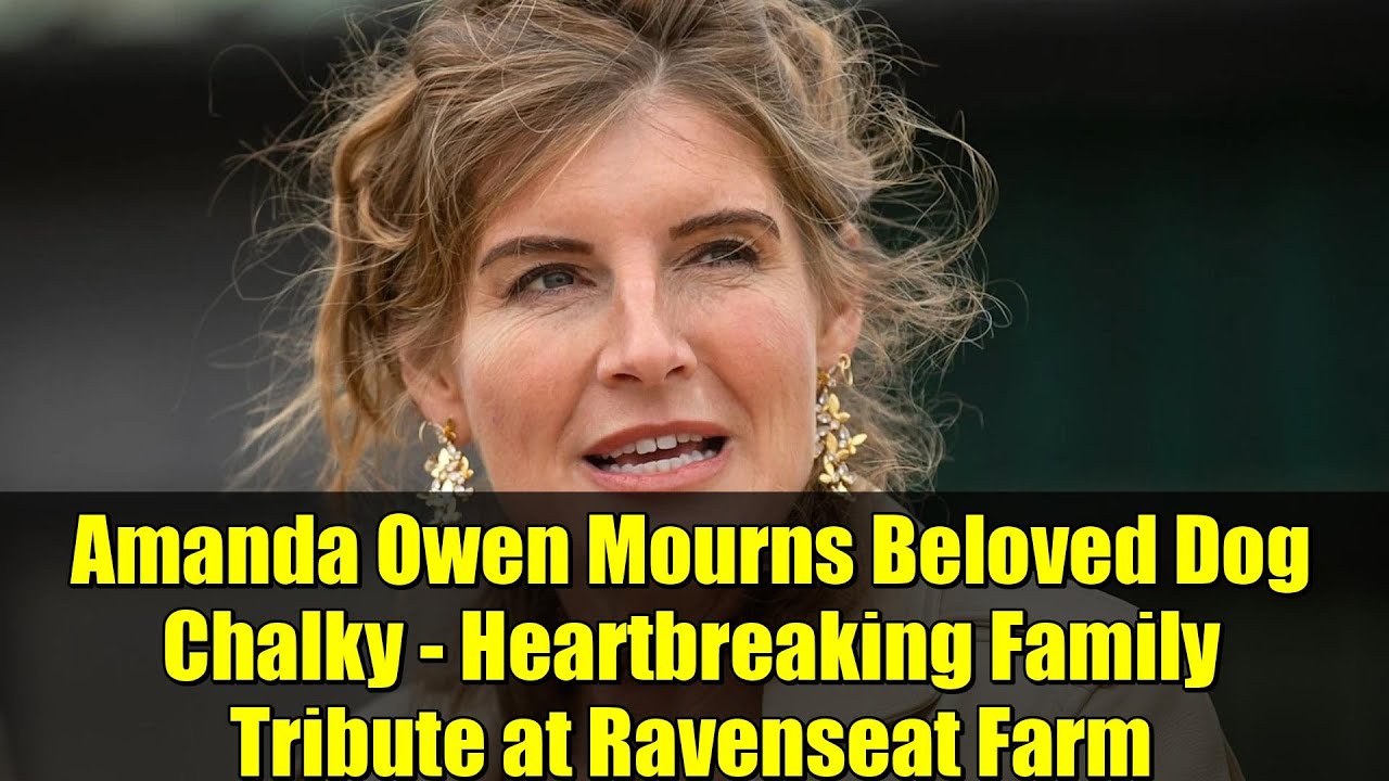 Аманда Оуэн скорбит по любимой собаке Чалки — трогательная дань памяти семье на ферме Равенсит