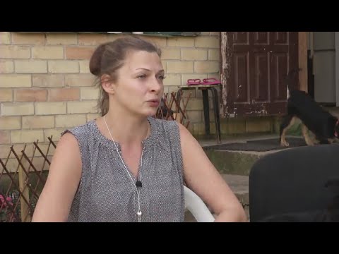 Video: Kaip Atsikratyti Kaimynų šunų