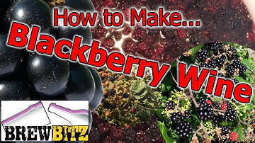 How to Make Blackberry Wine by Brewbitz Homebrew Shop