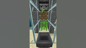 How to Make an Automatic Bone Meal Farm | Minecraft #shorts