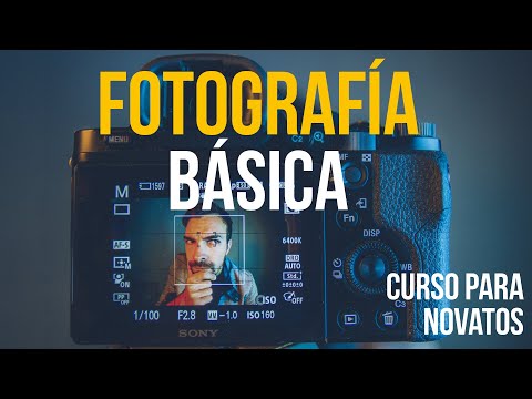 FOTOGRAFÍA BÁSICA - Curso para principiantes!