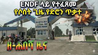 Ethio Forum Liyu