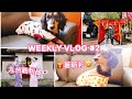 薯條穿新衣服了🍟九州戰利品 | 試食麥樂雞味杯面 | SUENN WEEKLY VLOG #2【中字】