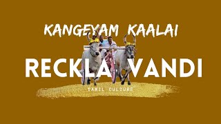 Rekla Race Panthayam | Kangeyam Bull Kaalai Valarpu | Mattu ( Thattu ) Vandi  |  Documentry