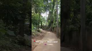 Railey Thailand ??  thailand travel  shorts