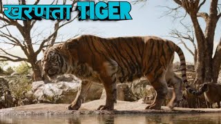 Kharanta Tiger । Hugh Allen Shikar Story । Hunting Story Of Tiger । Wounded Tiger Shot Dead । Allen