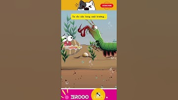 FUNNY VIDEO - BẤT NGỜ VỀ SỨC MẠNH CÚ ĐẤM CỦA "TÔM BỌ NGỰA" #shorts #dongvat #animals #funny #memes