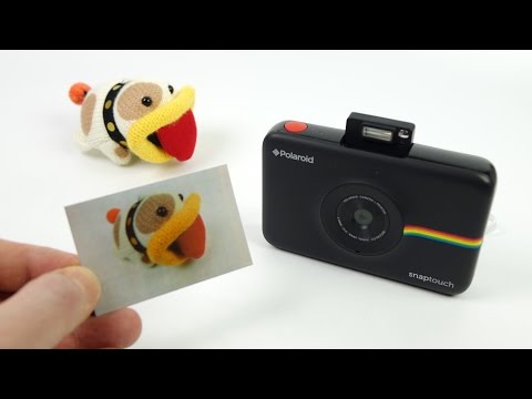 Polaroid