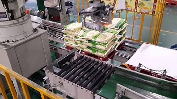 Robot Palletizing system bag
