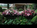 Райские сады Пьера Дюпона (Longwood Gardens)