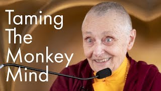Taming the Monkey Mind with Jetsunma Tenzin Palmo (filmed at KMSPKS Singapore)