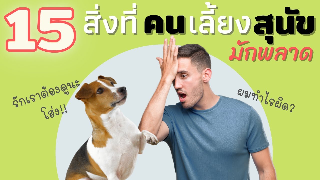15 สิ่งที่คนเลี้ยงสุนัขมักทำพลาด ที่ช่วยให้คุณเข้าใจน้องหมาของคุณมากขึ้น #ECOBOK - YouTube 15 สิ่งที่คนเลี้ยงสุนัขมักทำพลาด ที่ช่วยให้คุณเข้าใจน้องหมาของคุณมากขึ้น #Ecobok - Youtube