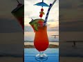 Sundowner in Goa | The Perfect Sunset | Goa 2021