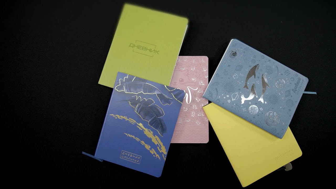 Дневники BRAUBERG с мягкой обложкой