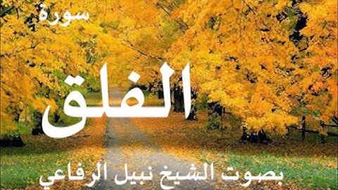 سورة الفلق بصوت الشيخ نبيل الرفاعي 113