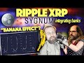 Ripple xrp banana effect in crypto schwartz defends xrp community  sygnum integrating banks