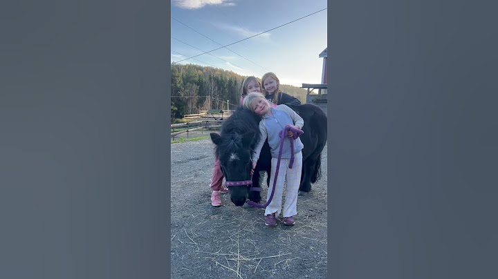 Bestevenner for alltid ❤️ #norge #hest #shortsnorway