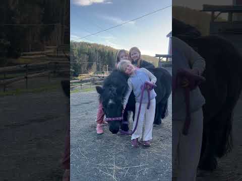 Best Friends Forever Norway Horse Shortsnorway