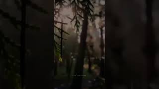 Pied Piper Slowed Status