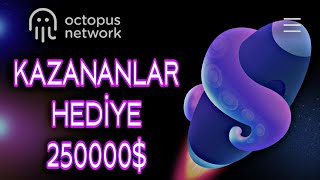 Octopus Accelerator Yıldız Ödülü Kazananları 250.000$