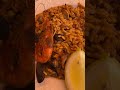 烤鲈鱼🐟➕海鲜🦞饭🍚，是午餐🍱的主菜，荤素搭配，营养均衡，美味😋