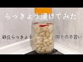 【しがない主婦の日常】らっきょう漬け／便利な世の中／鳥取砂丘らっきょう