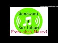 Re reena rihal reena  prem shah maravi  prem shah official  gondi song