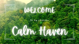 Calm Haven Relaxing Meditation Deep Sleep Stress Relief