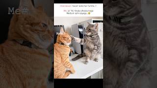 Excelmemes#popular#viral#funnymemes#tweetreels#explore
