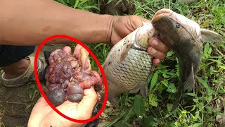 TERNYATA IKAN BAUNG JUGA SUKA UMPAN INI - MANCING PAGI DISUNGAI BRANTAS