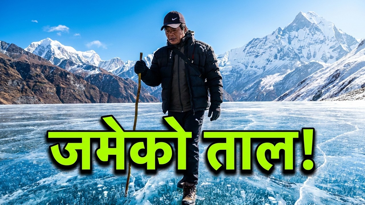 चार हजार मिटर माथीको उचाइमा हिमाली जडीबुटीको खोजी | पाखैभरि भेटियो यस्तो महँगो जडिबुटीहरु 