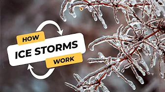 How do ice storms happen? | CBC Kids News