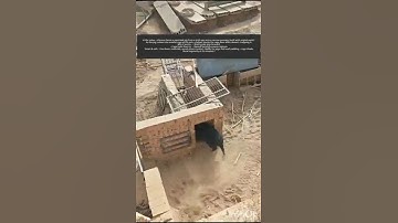GENIUS Pig Trap ! How Farmers CatchPigs FAST (Low-Cost & Safe !)#Piggyhunt