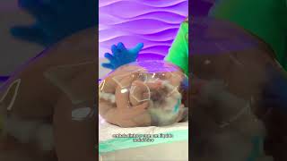 Boneca Reborn Dentro Da Bolsa Com Líquido Amniótico Parto Empelicado