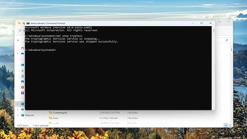 FIX: Cryptographic Services High Disk Usage Or CPU Usage In Windows 10/11 [Solution]