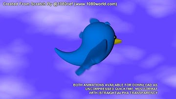 OFFICIAL FLYING TWITTER BIRD ANIMATION FOR VIDEO BLOGS | DIGITAL DOWNLOAD