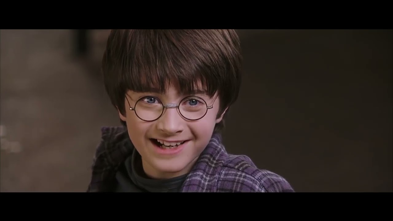 Harry And The Snake Harry Potter And The Philosopher s Stone YouTube Harry And The Snake Harry Potter And The Philosopher s Stone YouTube